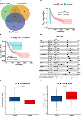 ELP6 and PLIN5 Mutations Were Probably Prognostic Biomarkers for Patients With Gastric Cancer